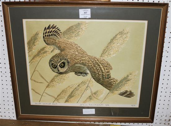 John Tennent owl print